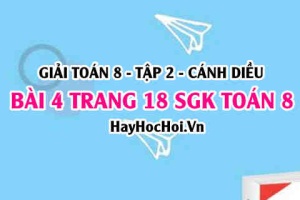 Bài 4 trang 18 Toán 8 Tập 2 Cánh Diều